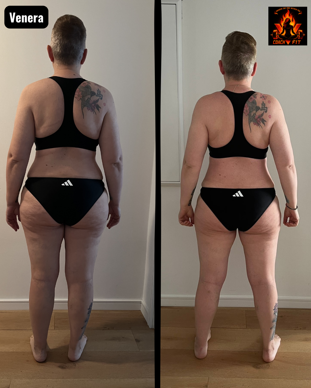 Venera transformation 3